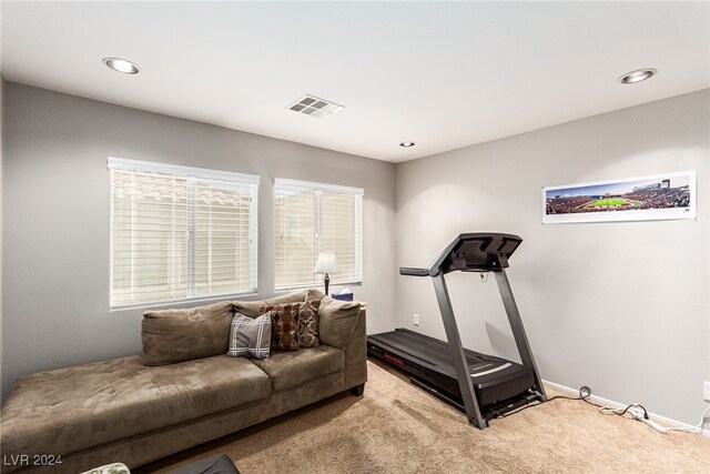 workout room featuring carpet