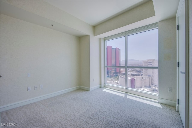 spare room with light colored carpet and a healthy amount of sunlight