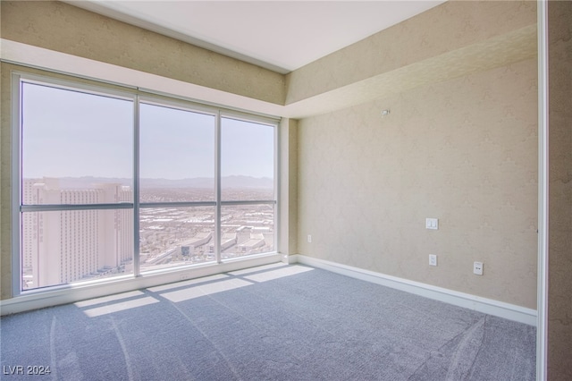 unfurnished room with carpet flooring