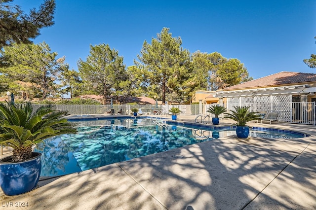 view of swimming pool with a patio area