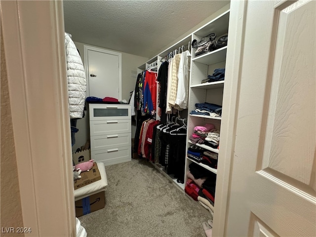 spacious closet with light carpet