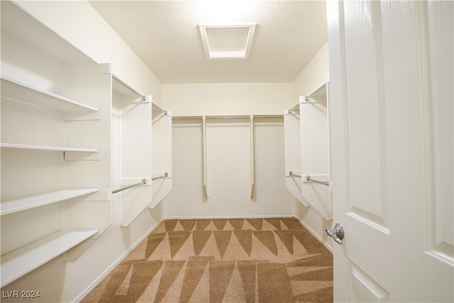 walk in closet featuring light carpet