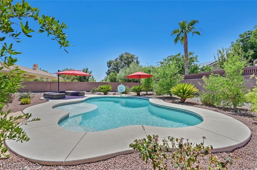 view of pool with a patio area