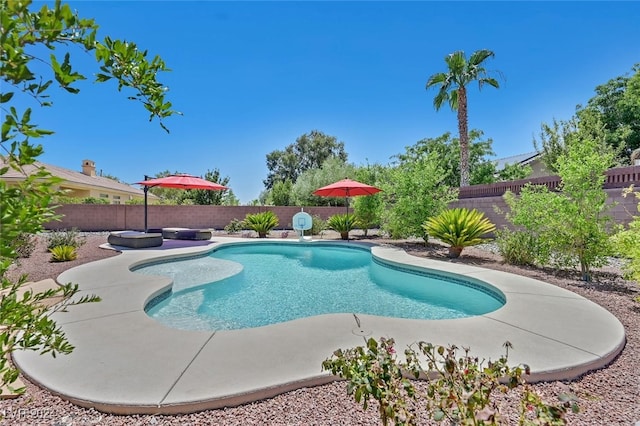 view of pool with a patio area