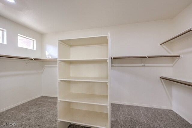 walk in closet featuring carpet