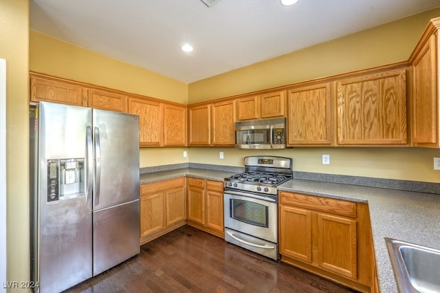 kitchen with stainless steel appliances, sink, and dark hardwood / wood-style flooring