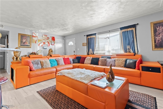 living room featuring light hardwood / wood-style flooring, a textured ceiling, and crown molding