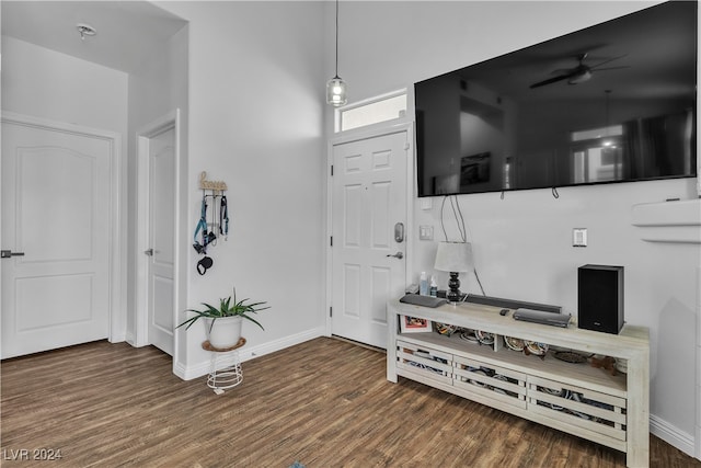 foyer entrance with dark wood-type flooring