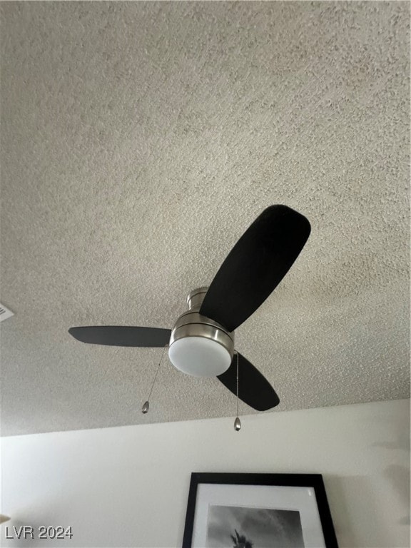 room details with ceiling fan