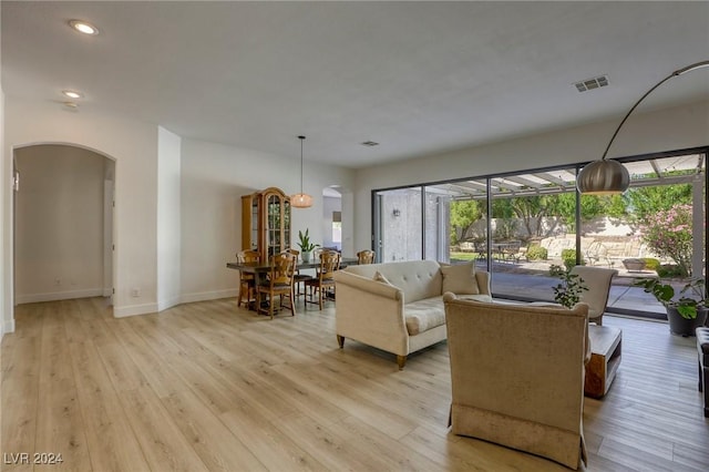 living room featuring a healthy amount of sunlight and light wood-type flooring