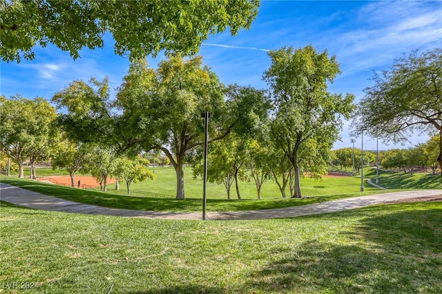 view of community with a lawn