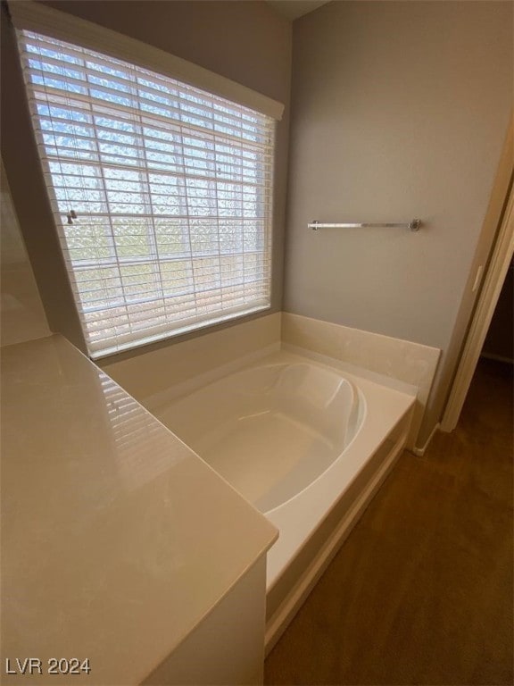 bathroom with a bathing tub