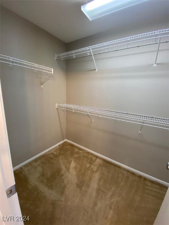 walk in closet with carpet