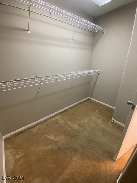 walk in closet with carpet flooring