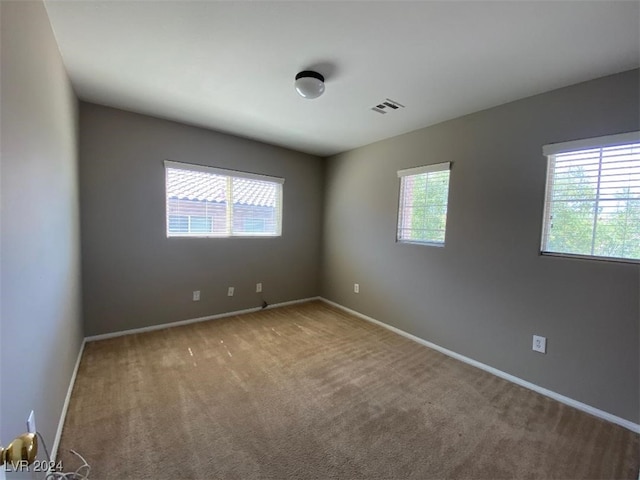 spare room featuring carpet flooring and a wealth of natural light