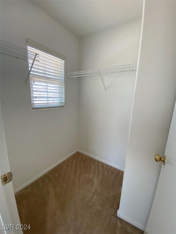 spacious closet featuring dark colored carpet