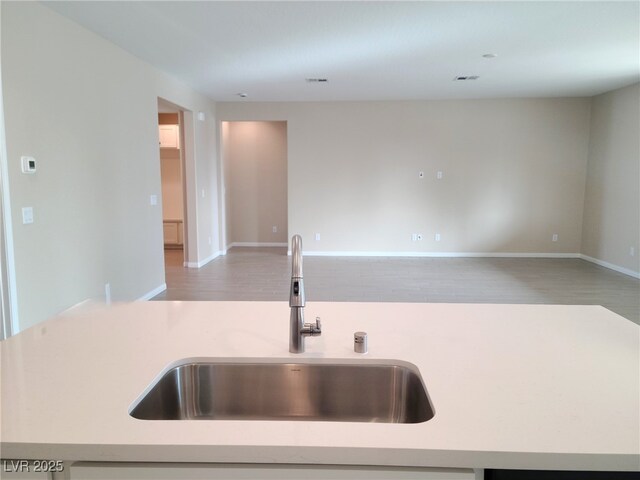 kitchen featuring sink and hardwood / wood-style floors