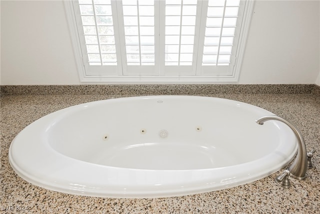 bathroom with a healthy amount of sunlight and a washtub