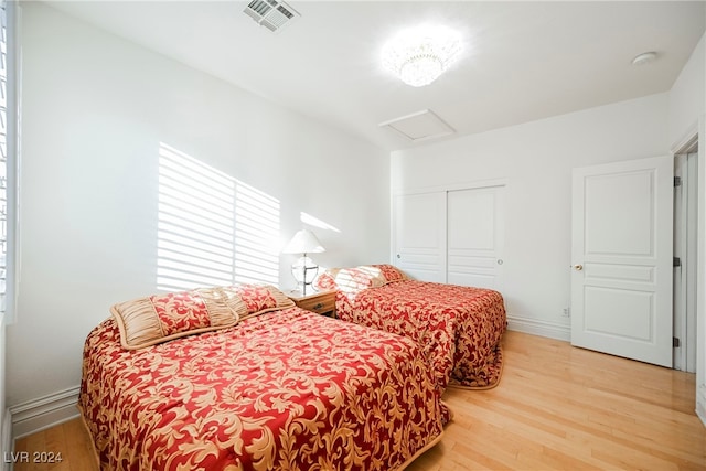 bedroom featuring multiple windows, wood-type flooring, and a closet