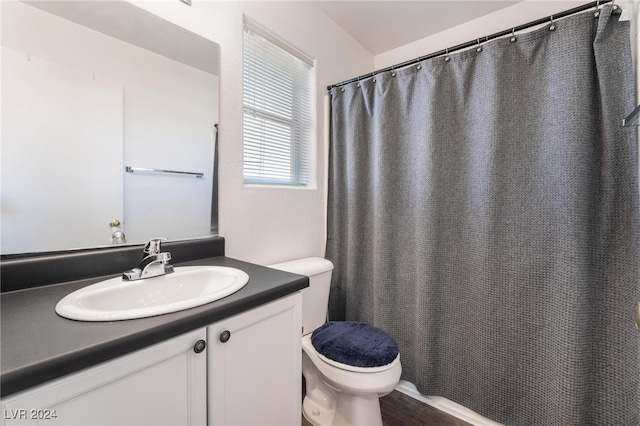 bathroom with toilet and vanity