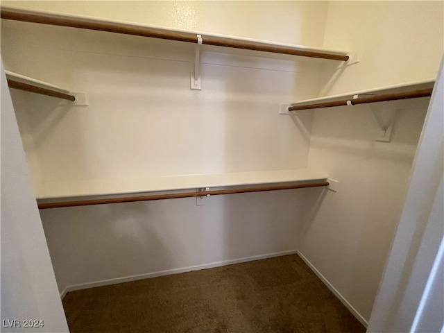 spacious closet with dark carpet