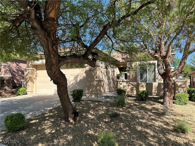 view of property hidden behind natural elements with a garage