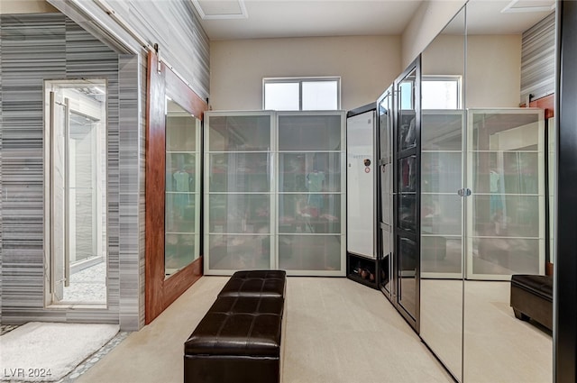 bathroom featuring a healthy amount of sunlight