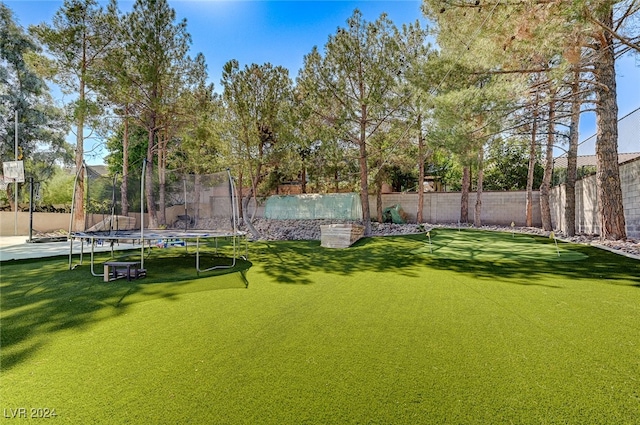 view of yard with a trampoline