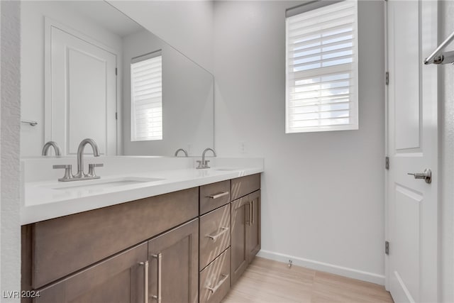 bathroom featuring wood-type flooring, vanity, and a healthy amount of sunlight