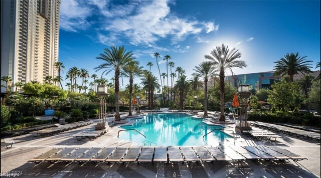 view of pool featuring a patio area