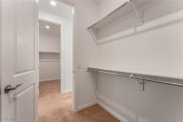 spacious closet with light colored carpet