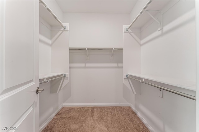 walk in closet with light colored carpet