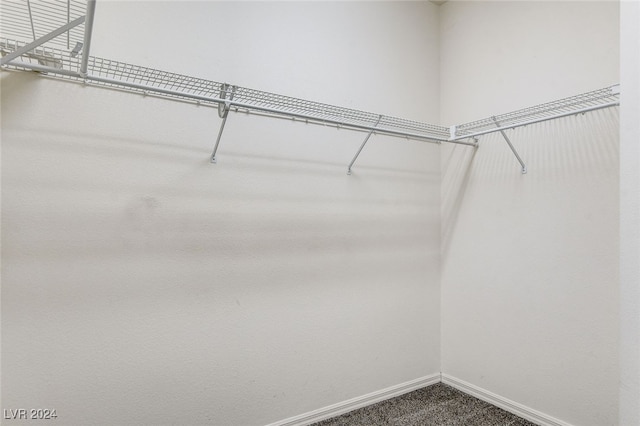 walk in closet featuring carpet flooring