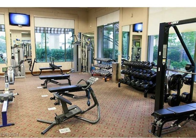 gym with carpet flooring