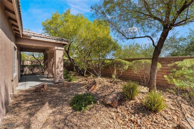 view of yard with a patio