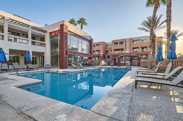 view of swimming pool featuring a patio area