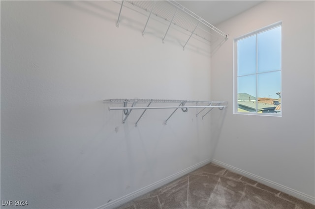 spacious closet with carpet flooring