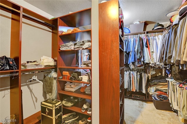 walk in closet featuring carpet floors