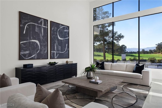 living room with a high ceiling