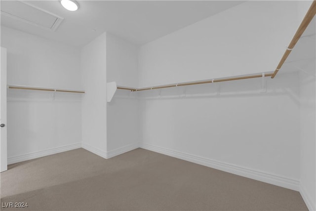 spacious closet featuring carpet floors and attic access