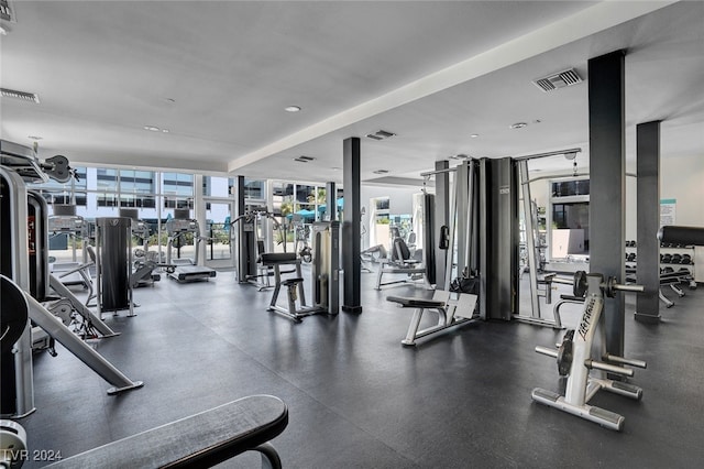 workout area featuring expansive windows