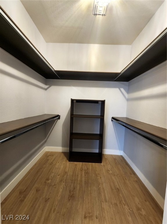 spacious closet with wood-type flooring