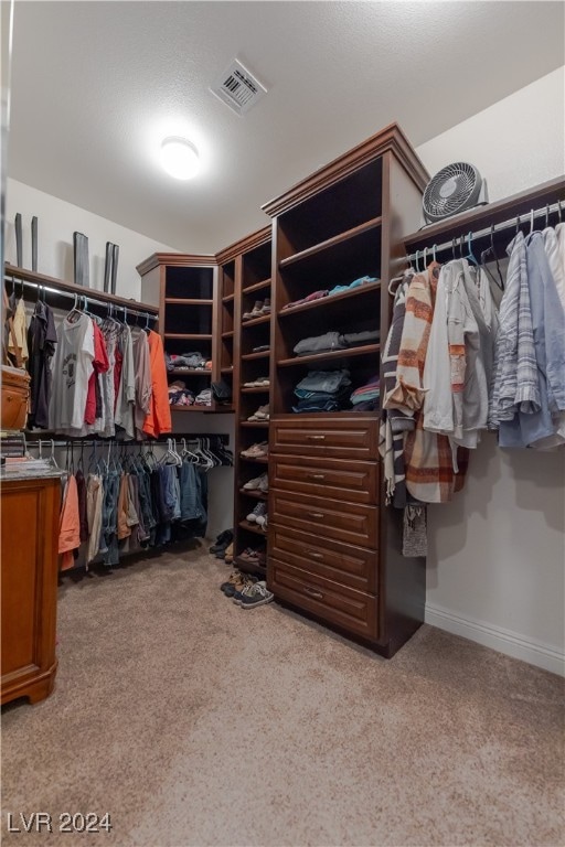 walk in closet with light carpet