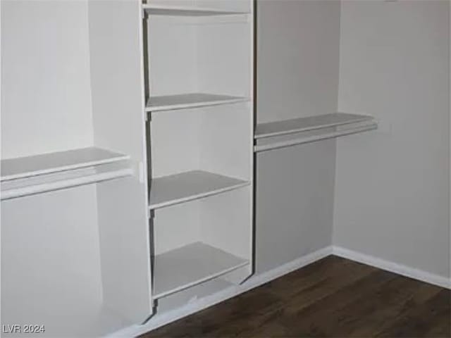 spacious closet featuring dark hardwood / wood-style floors