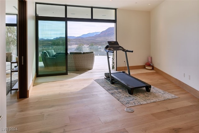 workout room featuring a mountain view and light wood-type flooring