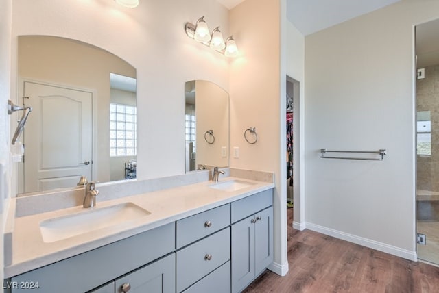 bathroom with wood-type flooring and vanity