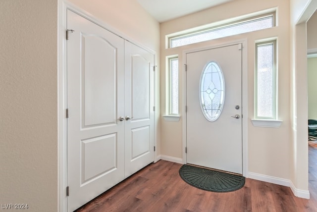 foyer with dark hardwood / wood-style flooring