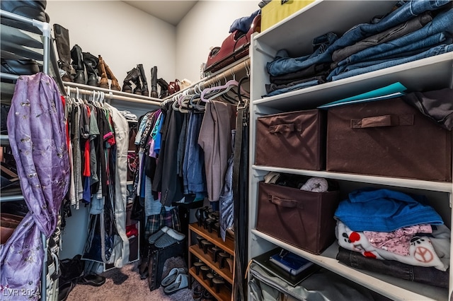 walk in closet featuring carpet floors