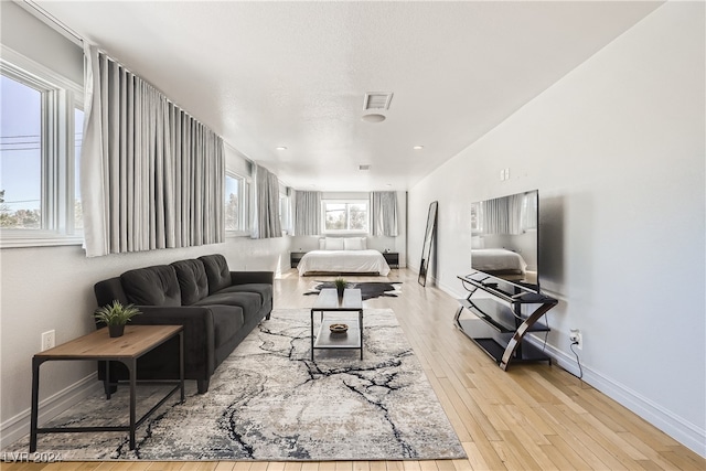 living room with light hardwood / wood-style flooring