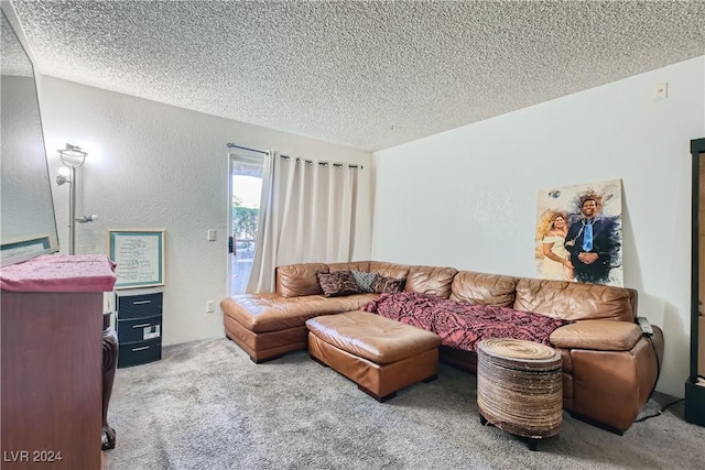 carpeted living area featuring a textured ceiling and a textured wall